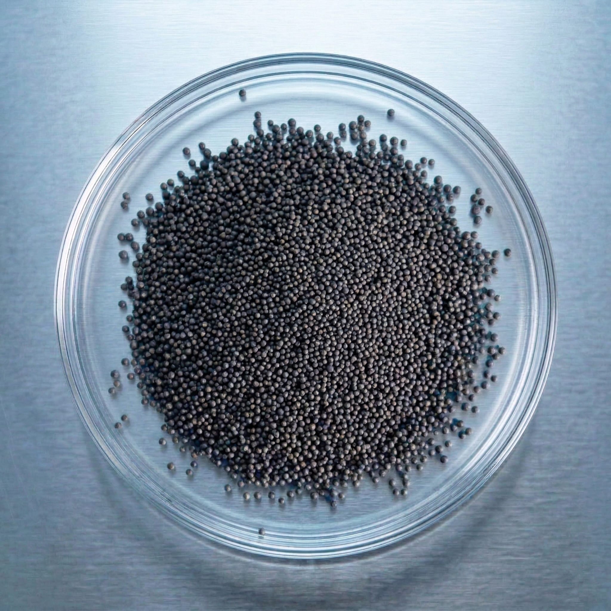 Ashwagandha (KSM-66®)